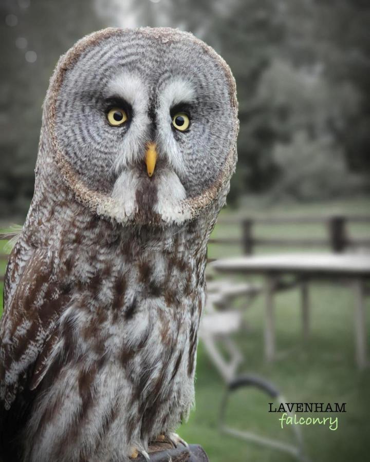 The Swan Inn Monks Eleigh ภายนอก รูปภาพ
